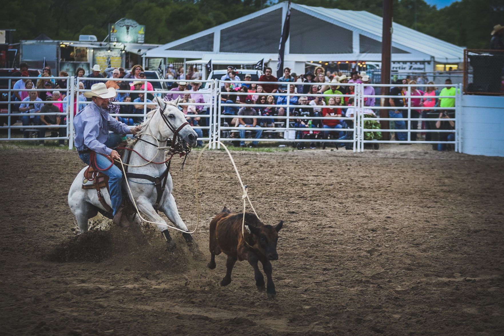 Buffalo Bill Rodeo Night 2 (47).jpg
